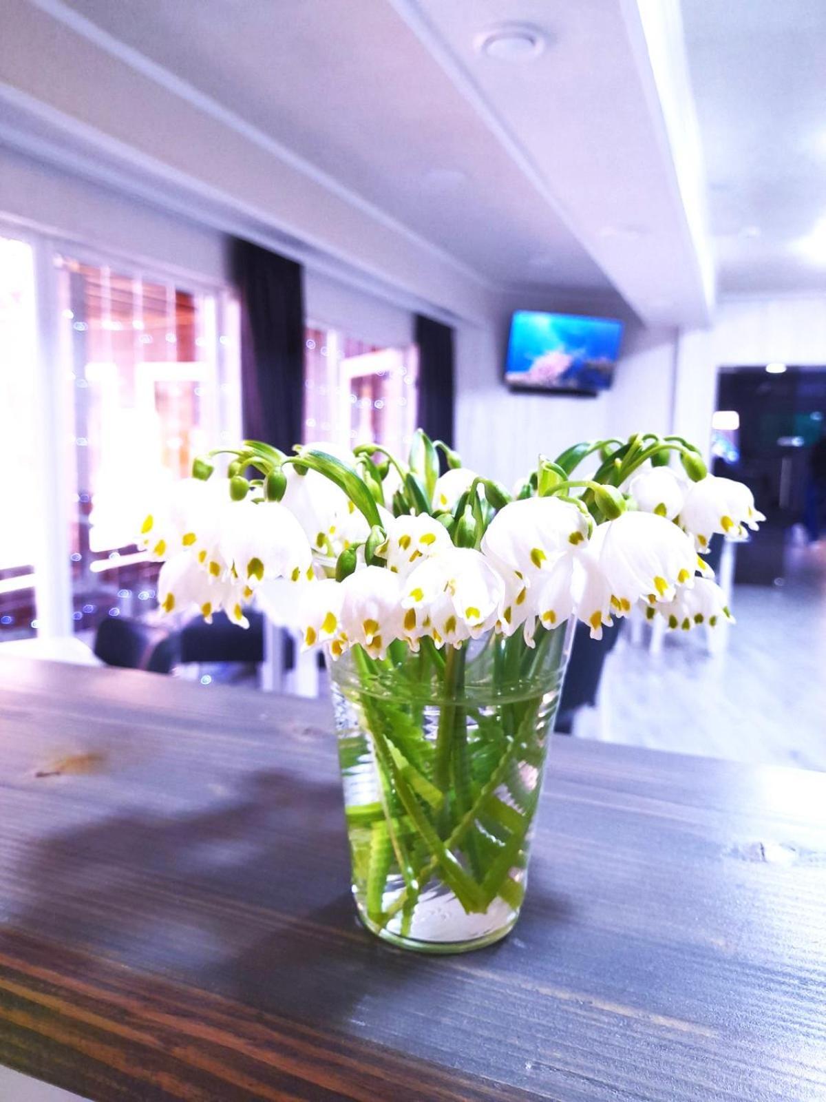 Hotel Four Seasons In Carpathians à Myhove Extérieur photo