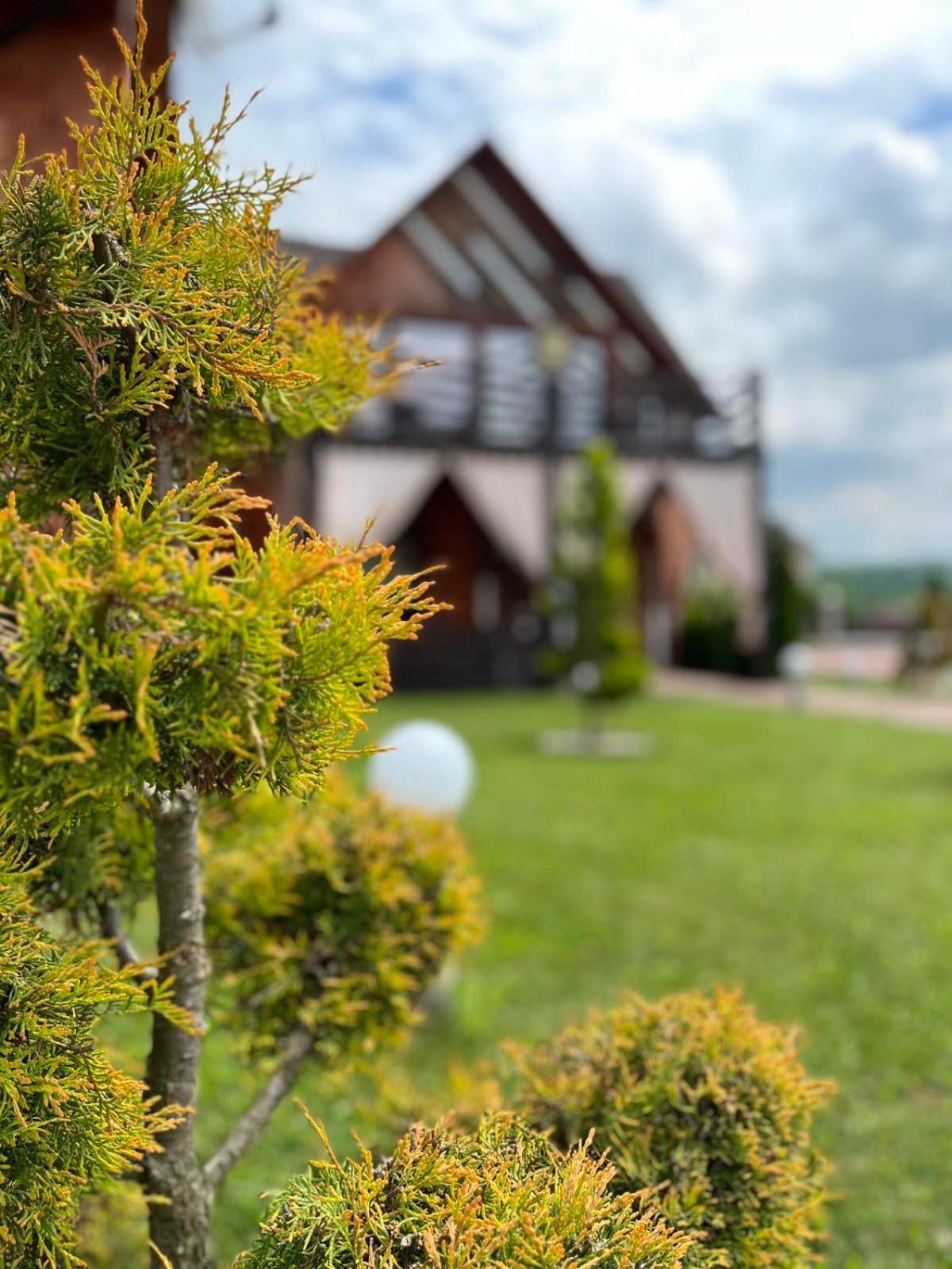 Hotel Four Seasons In Carpathians à Myhove Extérieur photo