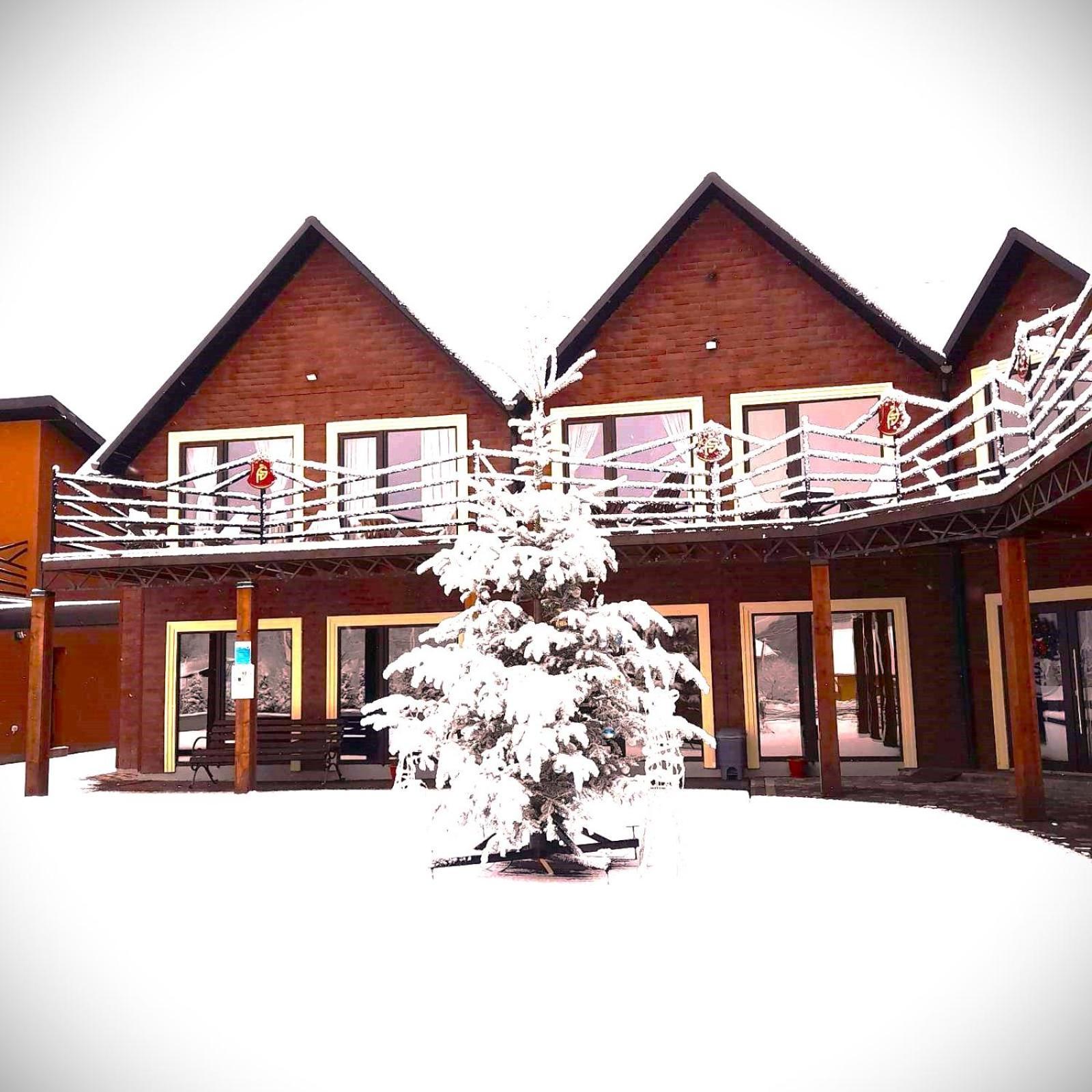 Hotel Four Seasons In Carpathians à Myhove Extérieur photo